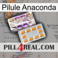Anaconda Pill new12